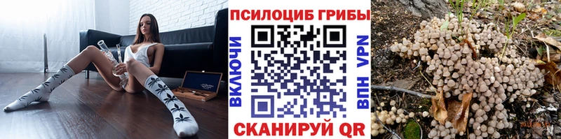 сайты даркнета как зайти Петушки Псилоцибиновые грибы Psilocybine cubensis купить цена
